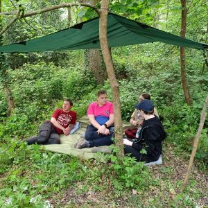 Forest Crew Chilling Out In Their Den
