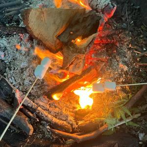 Marshmallows Cooking On The Fire