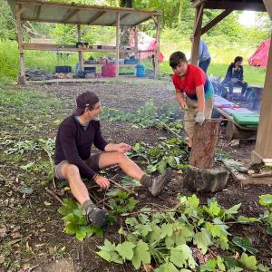 Volunteer At Big Family Day