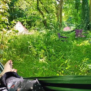 Wellbeing In Nature Hammock Time